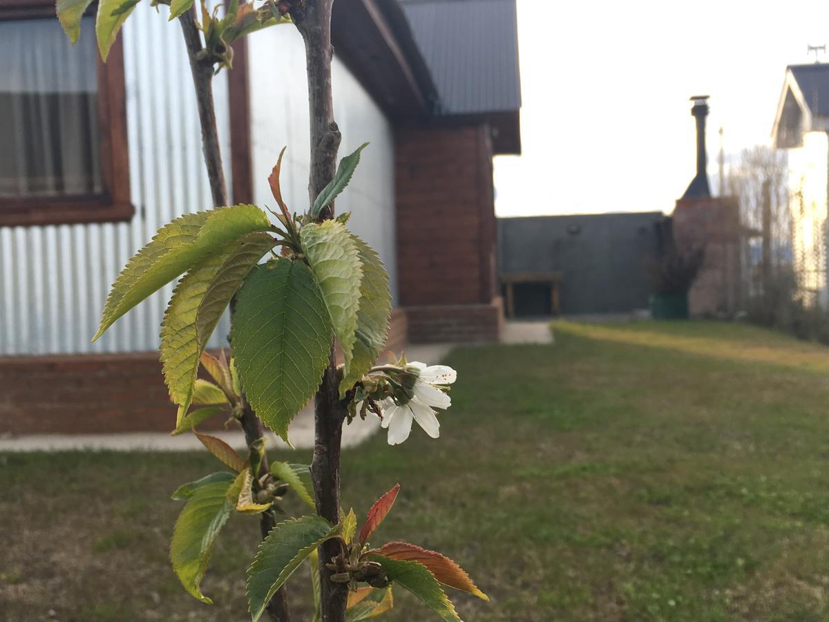 Casa Patagonica Los Frutales Ελ Καλαφάτε Εξωτερικό φωτογραφία
